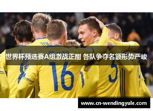 世界杯预选赛A组激战正酣 各队争夺名额形势严峻