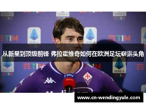 从新星到顶级前锋 弗拉霍维奇如何在欧洲足坛崭露头角