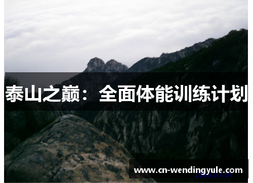泰山之巅：全面体能训练计划