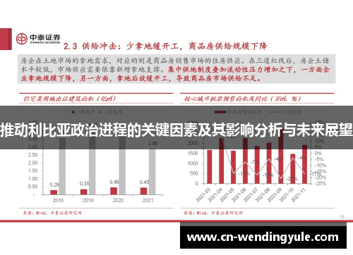 推动利比亚政治进程的关键因素及其影响分析与未来展望