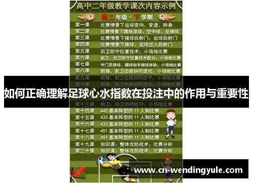 如何正确理解足球心水指数在投注中的作用与重要性