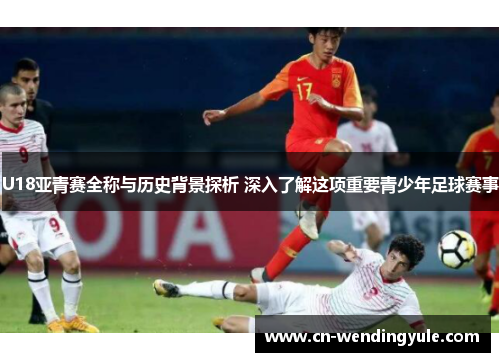 U18亚青赛全称与历史背景探析 深入了解这项重要青少年足球赛事